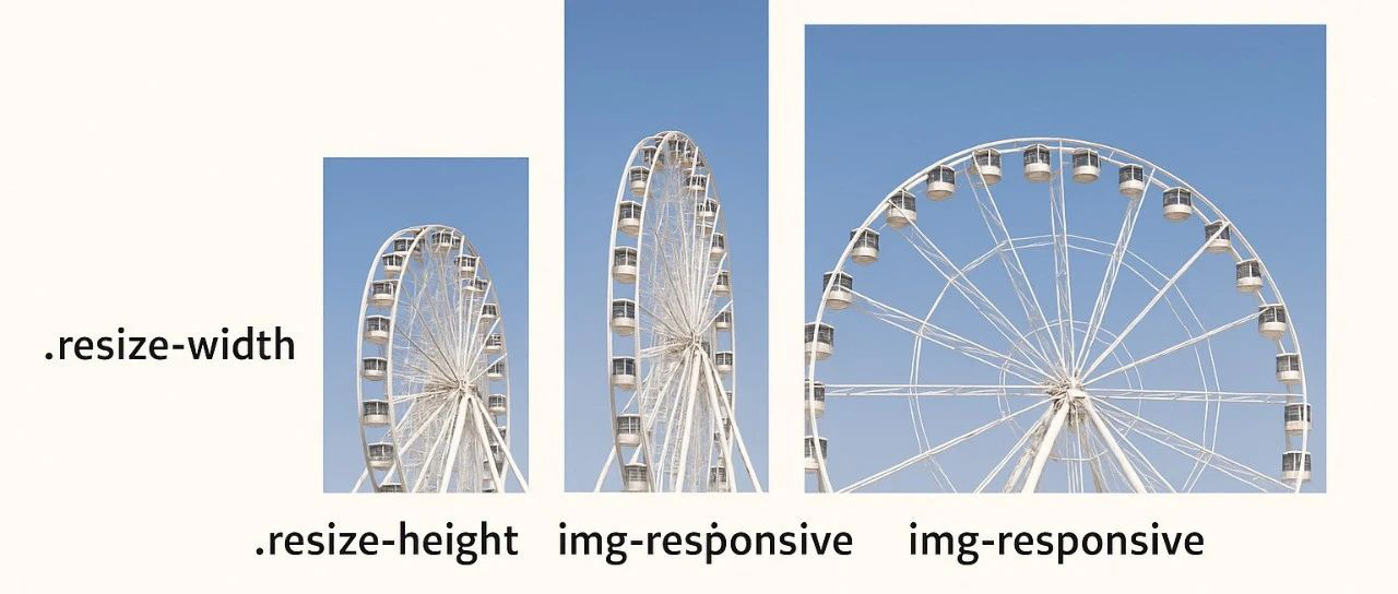 用CSS轻松调整图片大小,避免拉伸和变形